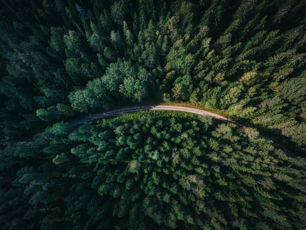 geran-de-klerk-qzgN45hseN0-unsplash-scaled